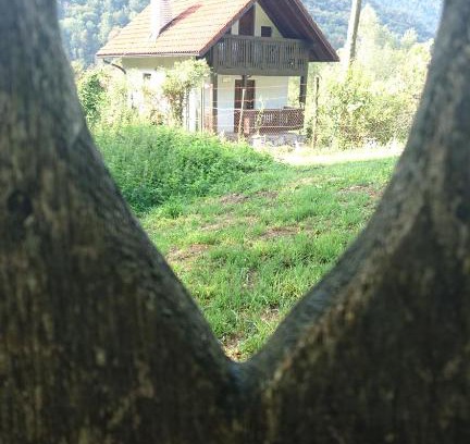 Borjana House | Hisa V Sadovnjaku