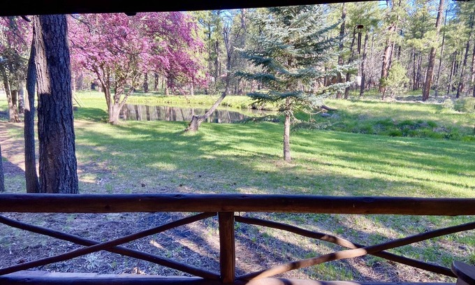 Pinetop Cabin | Historic, Cozy Cabin with pond and 3.4 acres in the heart of Pinetop!