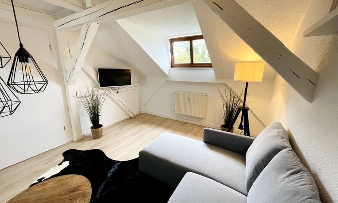 Zwickau Apartment | Historic flat in Zwickau city centre