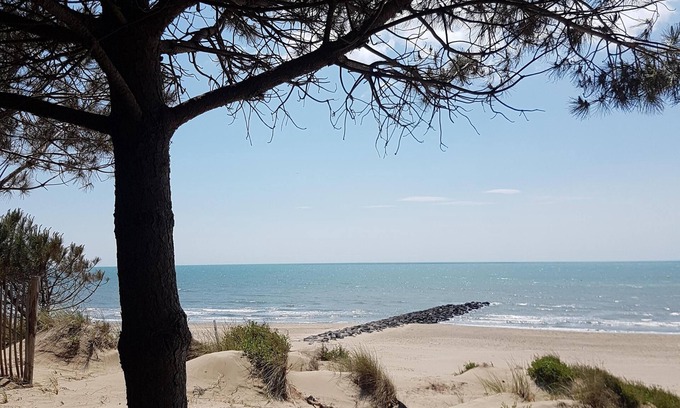 Florensac House | Historic town house roof terrace only 9 km to sandy beach - Vive la France