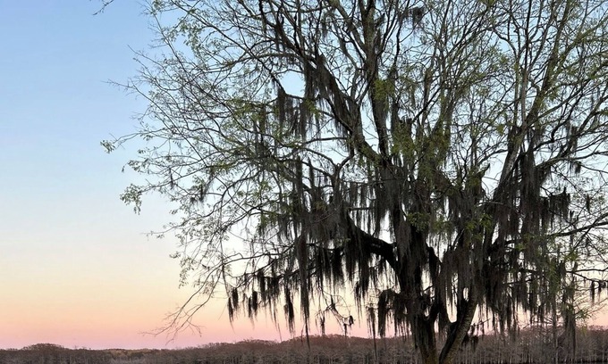 Saint Maurice House | Historical Lake House-Pet Friendly