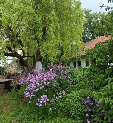 Podbranc House | Historický objekt Ailit