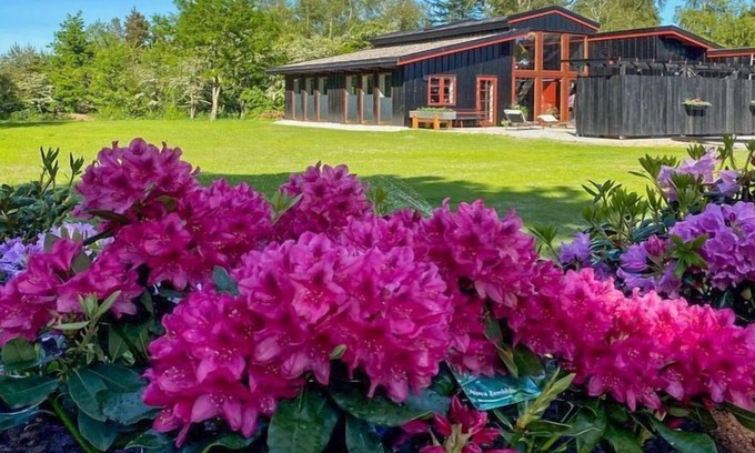 Amtoft House | "Hithin" - all inclusive - 150m to the inlet by Interhome