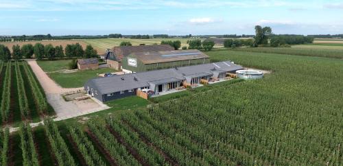 Zuidzande House | Hoeve Oude Tol