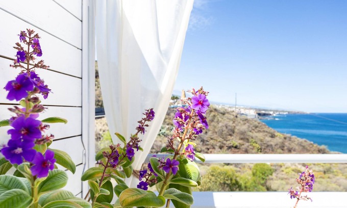 Punta del Hidalgo Apartment | Holiday Accommodation "Apartamento Luna"
