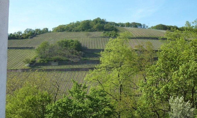 Assmannshausen Apartment | Holiday apartment Rüdesheim am Rhein for 1 - 2 persons with 1 bedroom - Holiday apartment in one or