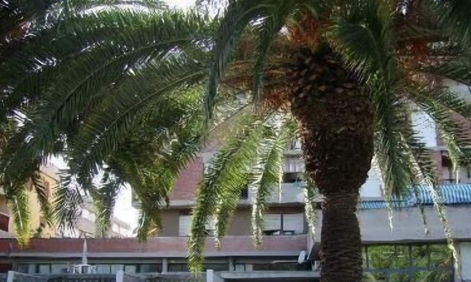 Marina di Carrara Apartment | Holiday apartment Marinella di Sarzana for 1 - 5 persons with 1 bedroom - Holiday apartment in one o