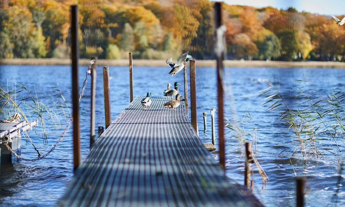 Neukloster Apartment | Holiday apartment Neukloster for 1 - 4 persons with 1 bedroom - Holiday apartment in one or multi-fa