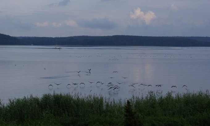 Plau am See House | Holiday apartment Plau am See for 1 - 2 persons with 1 bedroom - Holiday house
