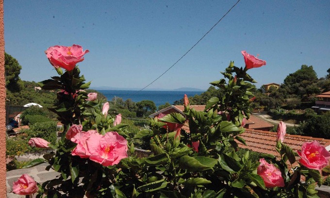 Capoliveri Apartment | Holiday apartment with panoramic view