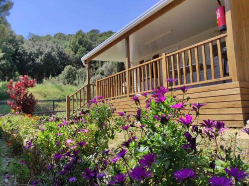 Calella Resort | Holiday home in Calella de la Costa 3641