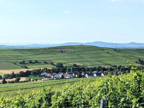 Pfaffenweiler House | Holiday Home in Pfaffenweiler