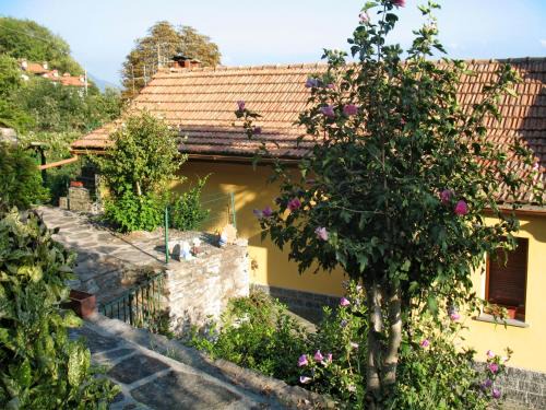 Trarego Viggiona House | Holiday Home Monte Tabor by Interhome