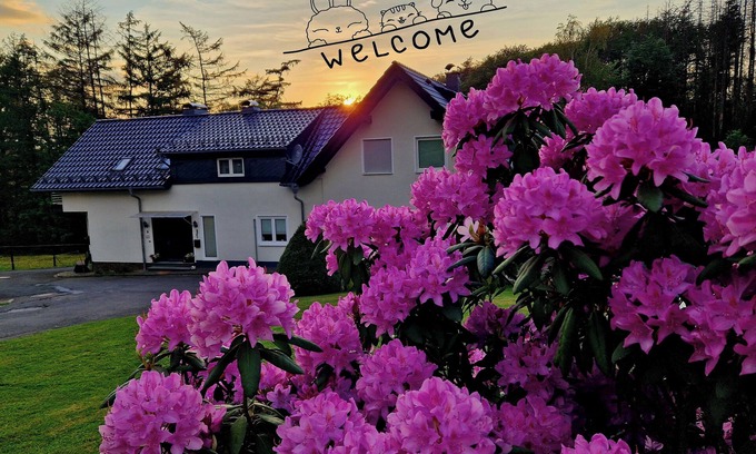Reichshof House | Holiday Home - Nebelseifen - Pets welcome -