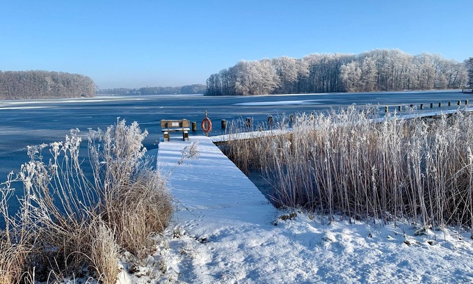 Dummer House | Holiday home Seerose with sauna on lake Dümmer, Dümmer