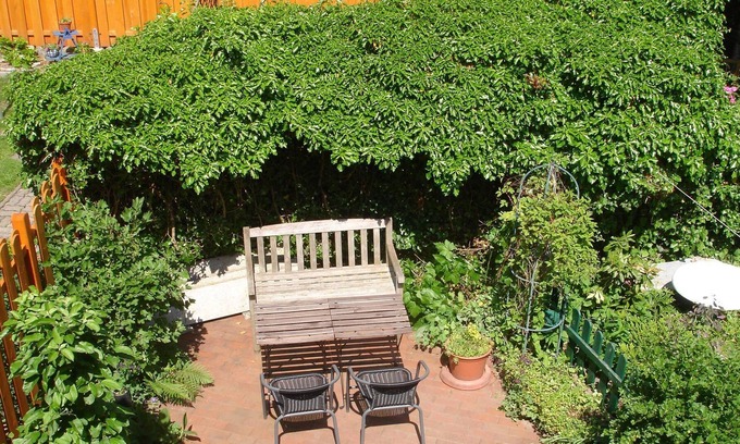 Stadtmitte Apartment | Holiday home Sommerfeld - Property 32767 - Summerfeld
