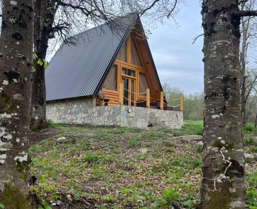 Podgorica Capital City House | Holiday Home Veruša