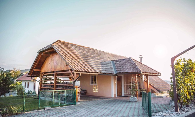 Bostanj House | Holiday home with terrace and air conditioning