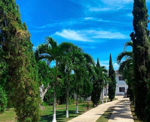 Epworth House | Holiday homes in Ocho Rios, Jamaica