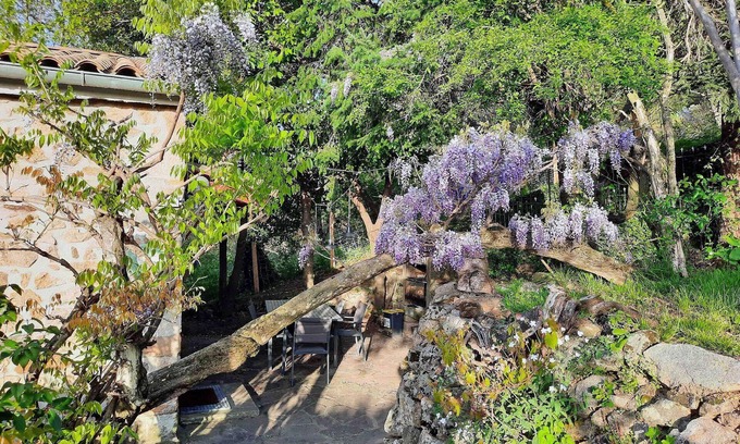 Chassiers House | Holiday house Chassiers for 1 - 7 persons with 3 bedrooms - Holiday home