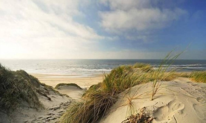 Dirkshorn House | Holiday house Dirkshorn for 1 - 4 persons with 2 bedrooms - Holiday home