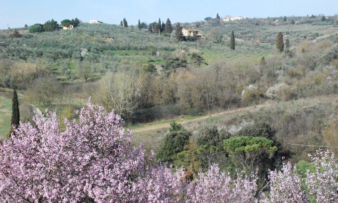 Lastra a Signa House | Holiday house "Gli Oleandri di Belfiore". In the hills but one step away from Florence
