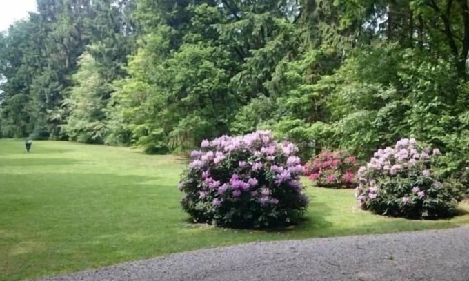 Gudendorf House | Holiday house Gudendorf for 1 - 4 persons with 2 bedrooms - Holiday home