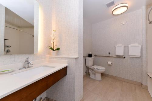 Trinity Hotel | Holiday Inn Express & Suites Trinity by IHG