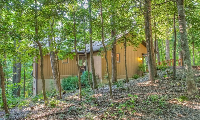 Blairsville Cabin | Holly Cabin on Town Creek, in the NE Mountains of Blairsvillen2 WEEKS MAX STAY!
