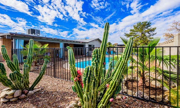 Groves Lincoln Park House | Home away from Home in Eastern Tucson Arizona, pool, spa, private yard