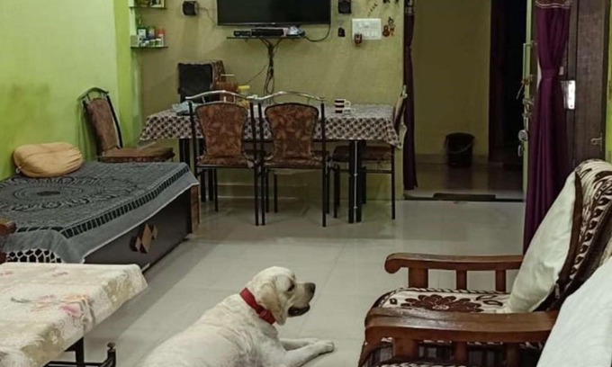 Bhiwandi House | Home D.E.V