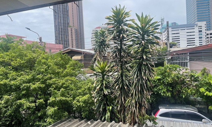 Lumphini House | Home rama4 near bts thong lor