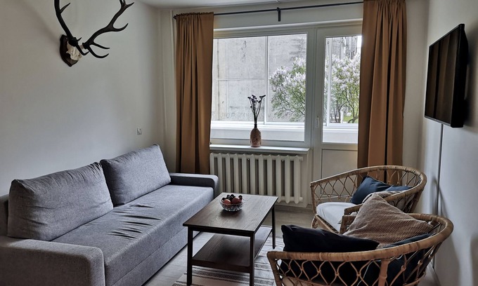 Kedainiai Apartment | Homely Apartment in Kedainiai
