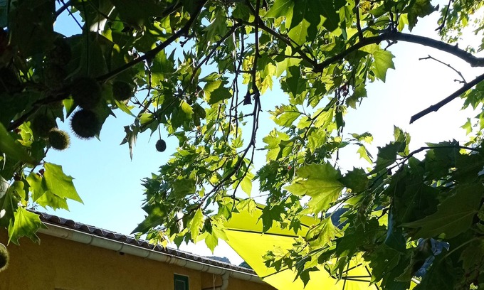 Gornies Apartment | Homerez - Big appartement for 10 ppl. with terrace at Gorniès