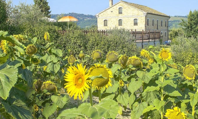 Montecarotto Villa | Homerez - Big villa for 20 ppl. with swimming-pool at Montecarotto