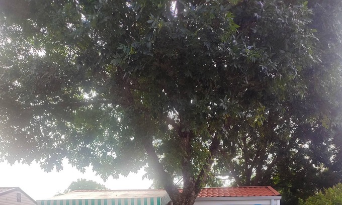 Saujon House | Homerez - Bungalow 10 km from the beach for 4 pers. with terrace in Saujon