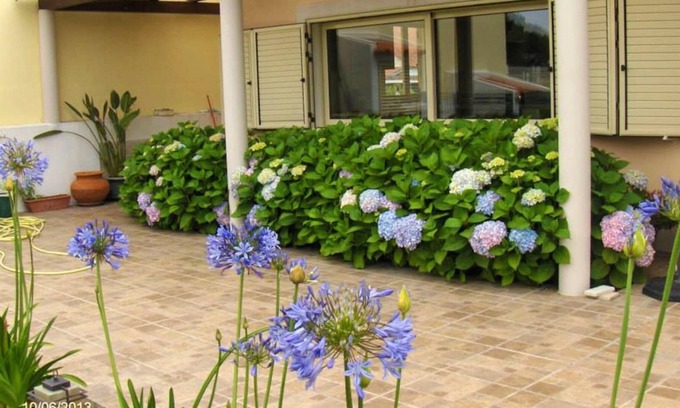 Bairro da Liberdade Apartment | Homerez - Spacious appartement for 7 ppl. at Grândola