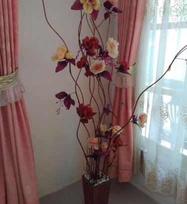 Bukittinggi House | Homestay Anggur
