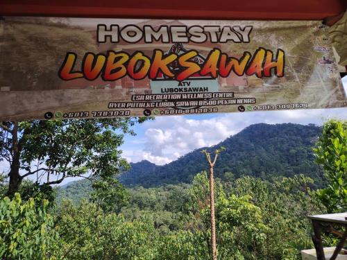 Pekan Nanas House | Homestay LubokSawah