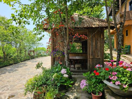 Bat Xat Cabin | homestay y tý đại ngàn - lào cai