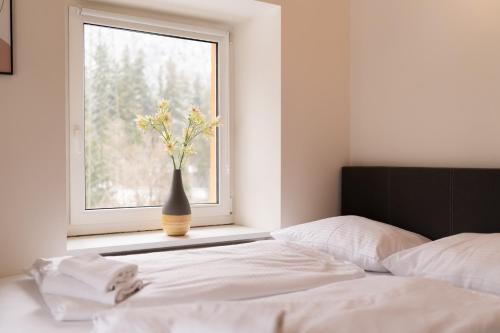 Innerbraz Apartment | homy Alpenlodge