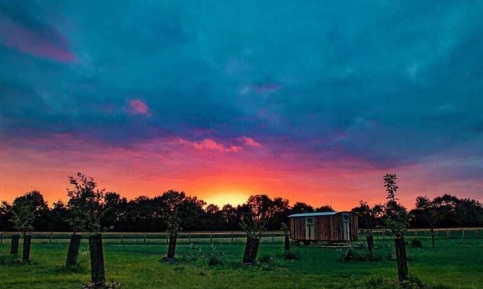 Monk Soham House | Honeysuckle Farm Hut 5 - Suffolk Farm Holidays
