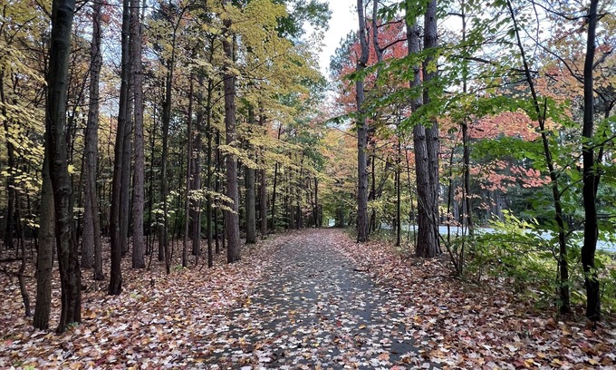 West Olive House | Hot tub, Nature, Parks and Beaches! Right in between Holland and Grand Haven.