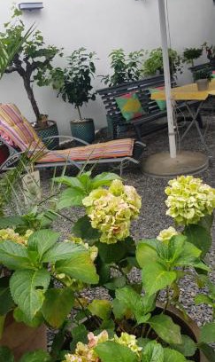 Leider Hotel | Hotel Adriana