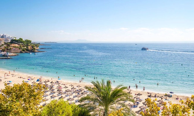 Palmanova Hotel | Hotel Agua Beach - Adults Only
