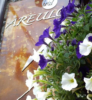 Cerler Hotel | Hotel Areulo
