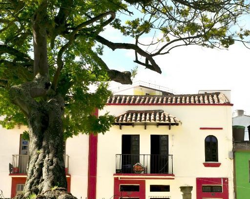 Tunja Hotel | Hotel Aroma del Bosque Posada Cafe