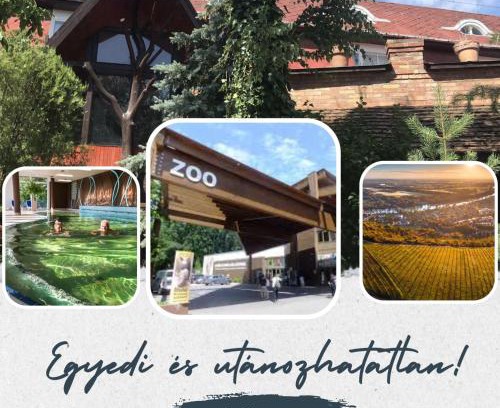 Sostogyogyfurdo Hotel | Hotel Barbizon