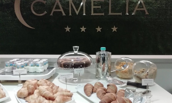 Cameri Hotel | Hotel Camelia