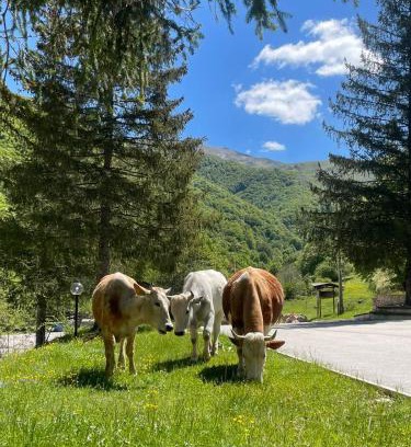 Leonessa Hotel | HOTEL CAMPO STELLA